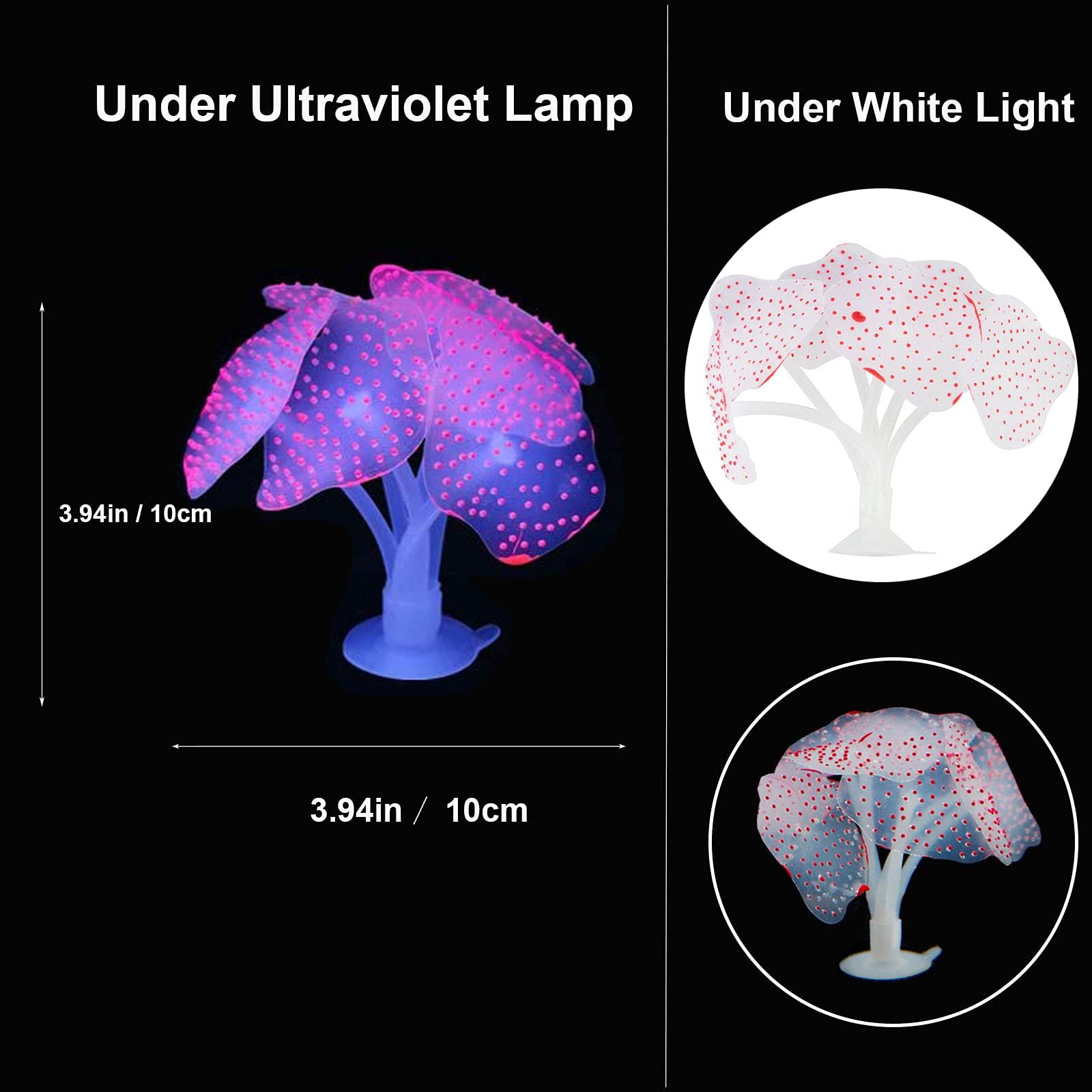Anémone lumineuse verte HIKTQIW, effet décoratif apaisant.