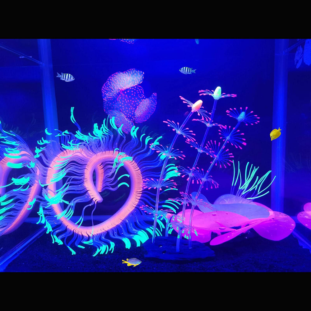 Décoration d’aquarium lumineuse HIKTQIW, ensemble polyvalent et esthétique.