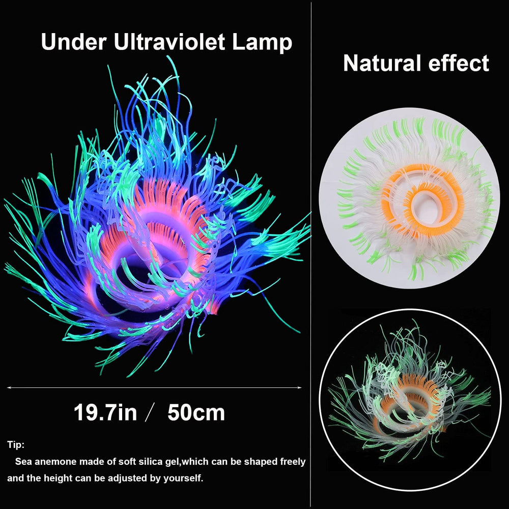 Lotus corail lumineux HIKTQIW, ambiance sous-marine scintillante.