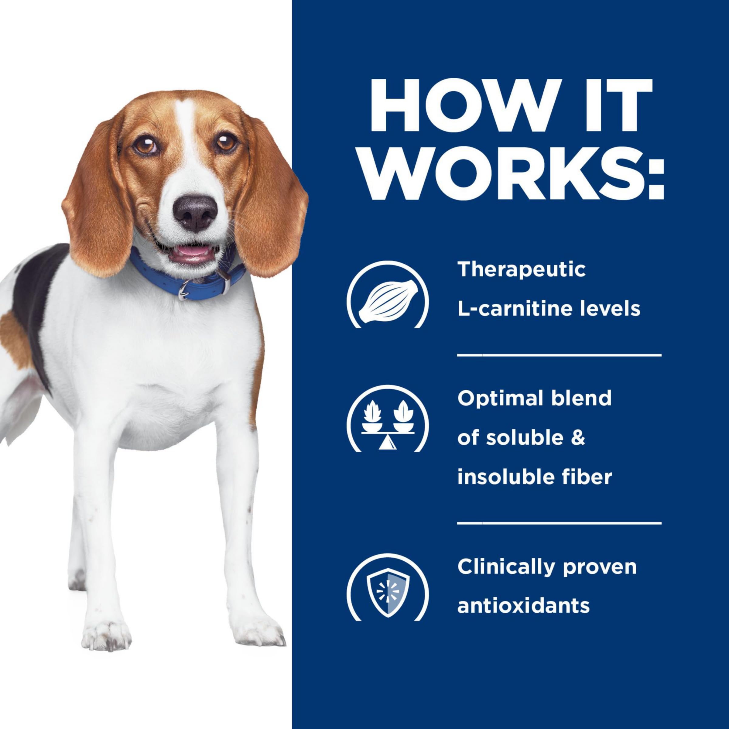 Hill's r/d alimentation thérapeutique chien, qualité nutritionnelle élevée