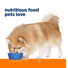 Hill's Prescription Diet c/d Multicare — emballage 12 boîtes 355 g chacun.