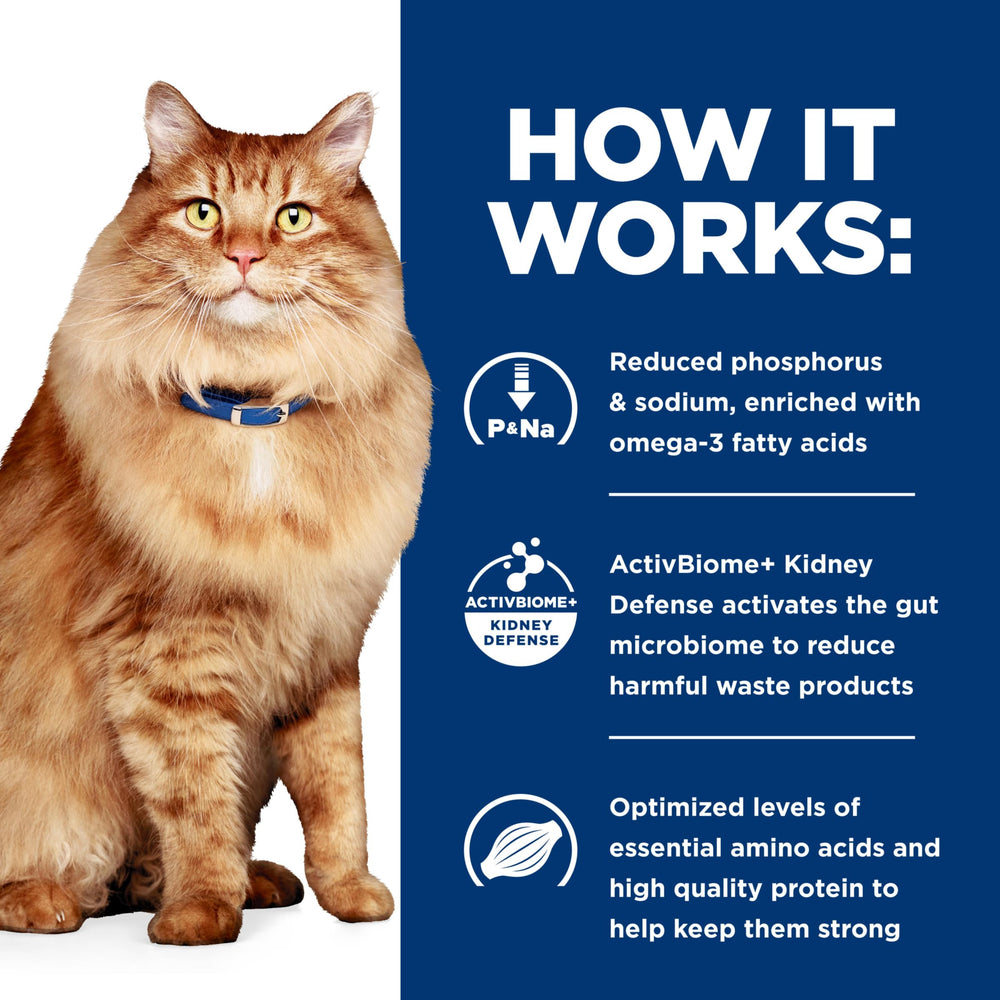 Guide de portions quotidiennes pour l’alimentation du chat.