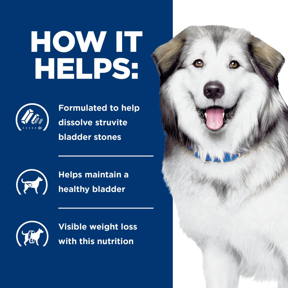 Soutien du métabolisme canine grâce à un mélange synergique d’ingrédients.