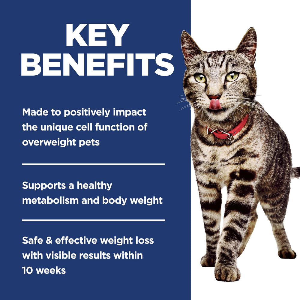 Hill's Science Diet guide des portions pour plan alimentaire