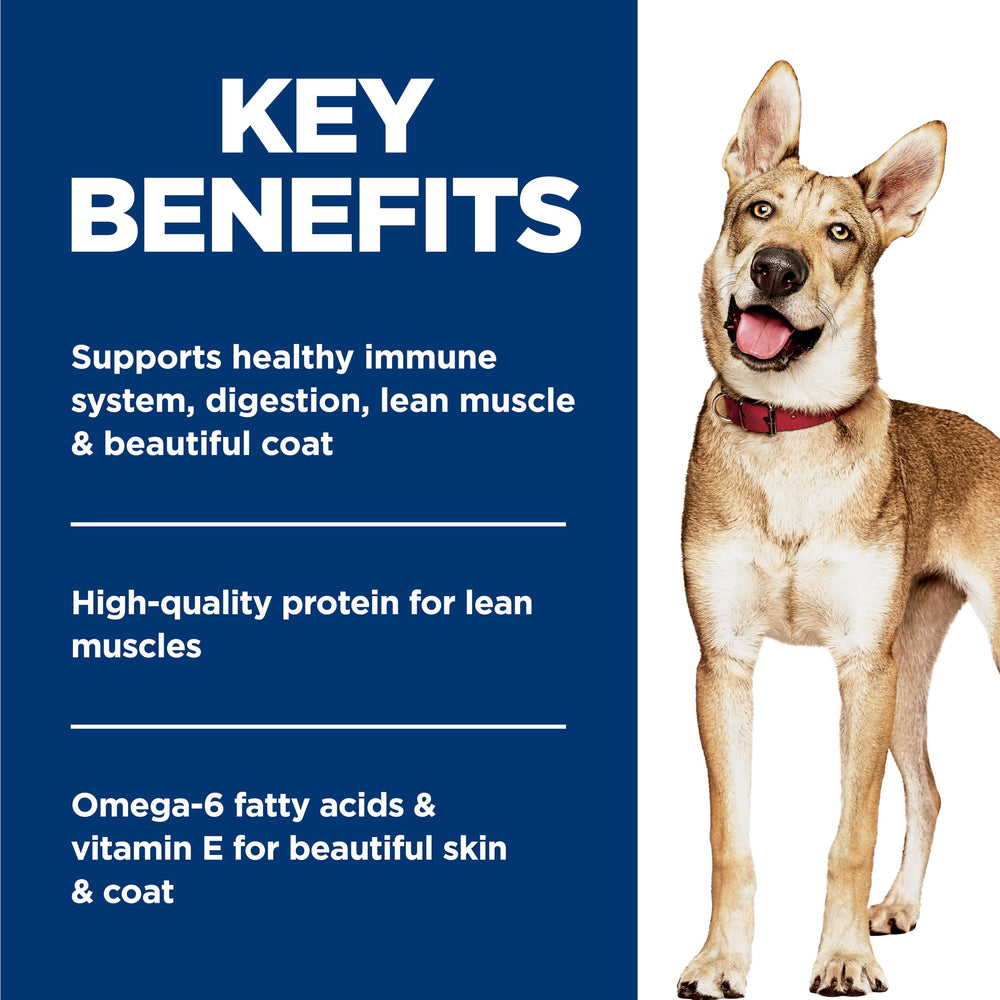 Hill's Science Diet Chien Adulte – antioxydants pour la santé durable.