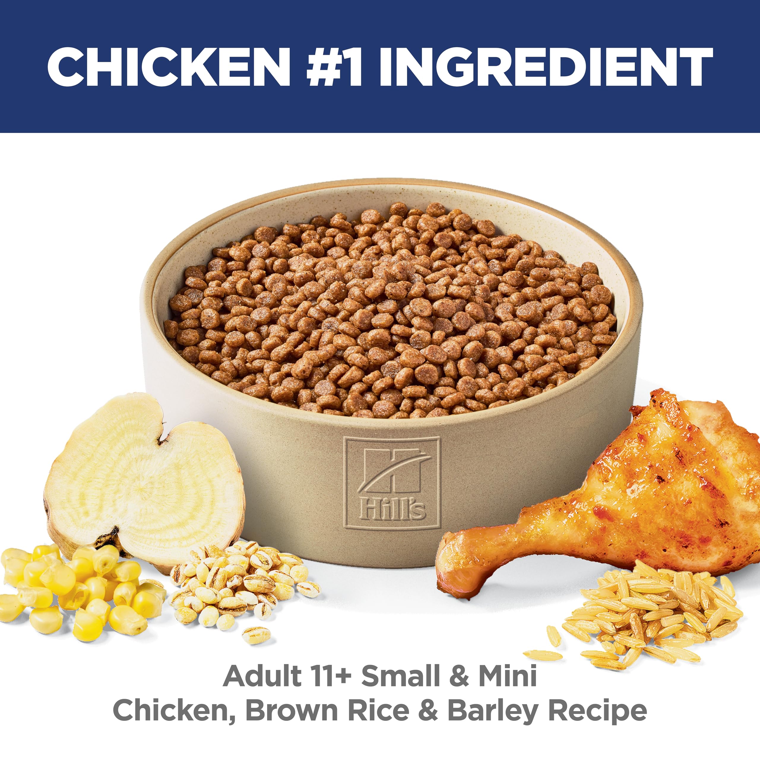 Hill's Science Diet Senior 11+ petit chien, croquettes orge – peau et pelage nourris.
