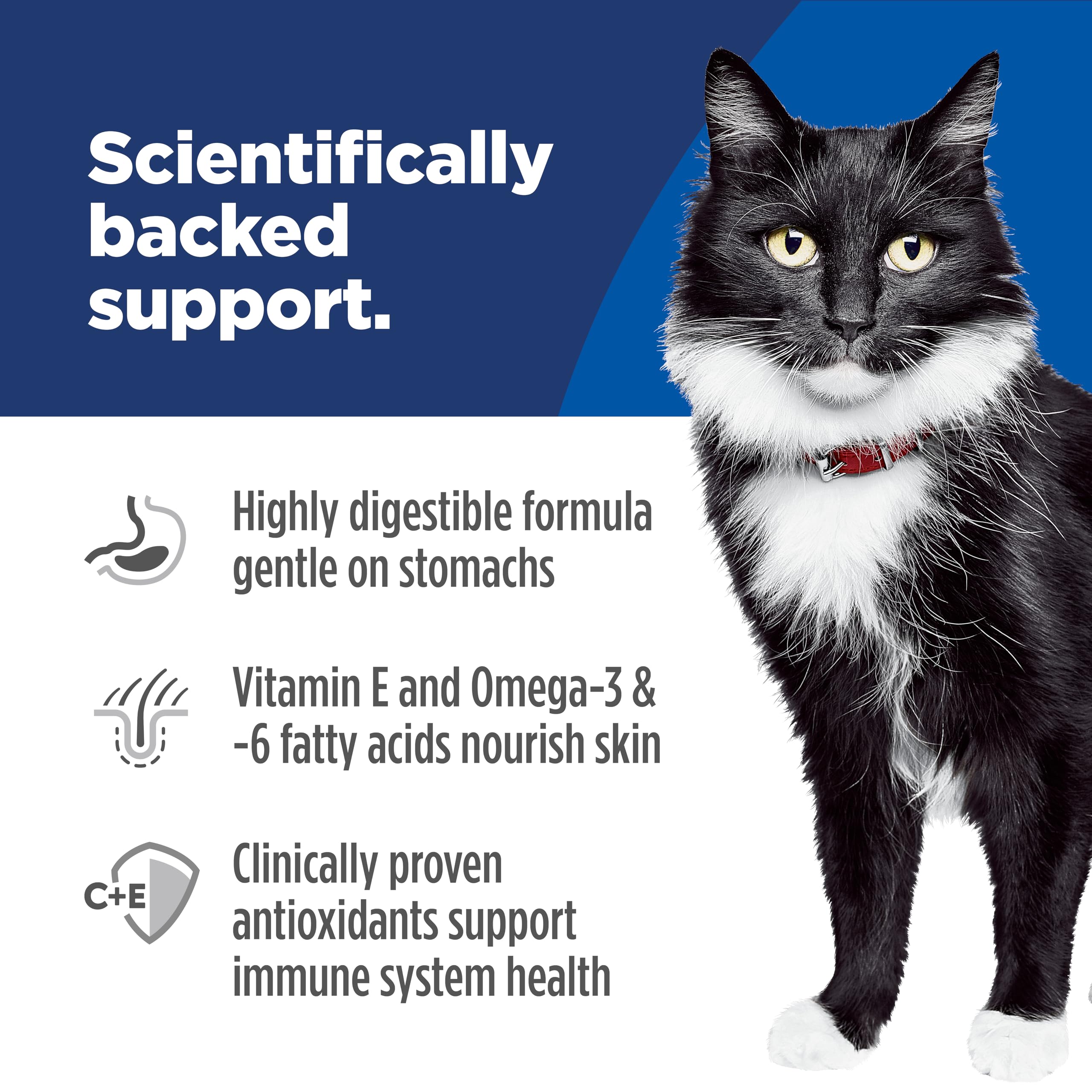 Ingrédients Hill's Science Diet: saumon et fibres prebiotiques.