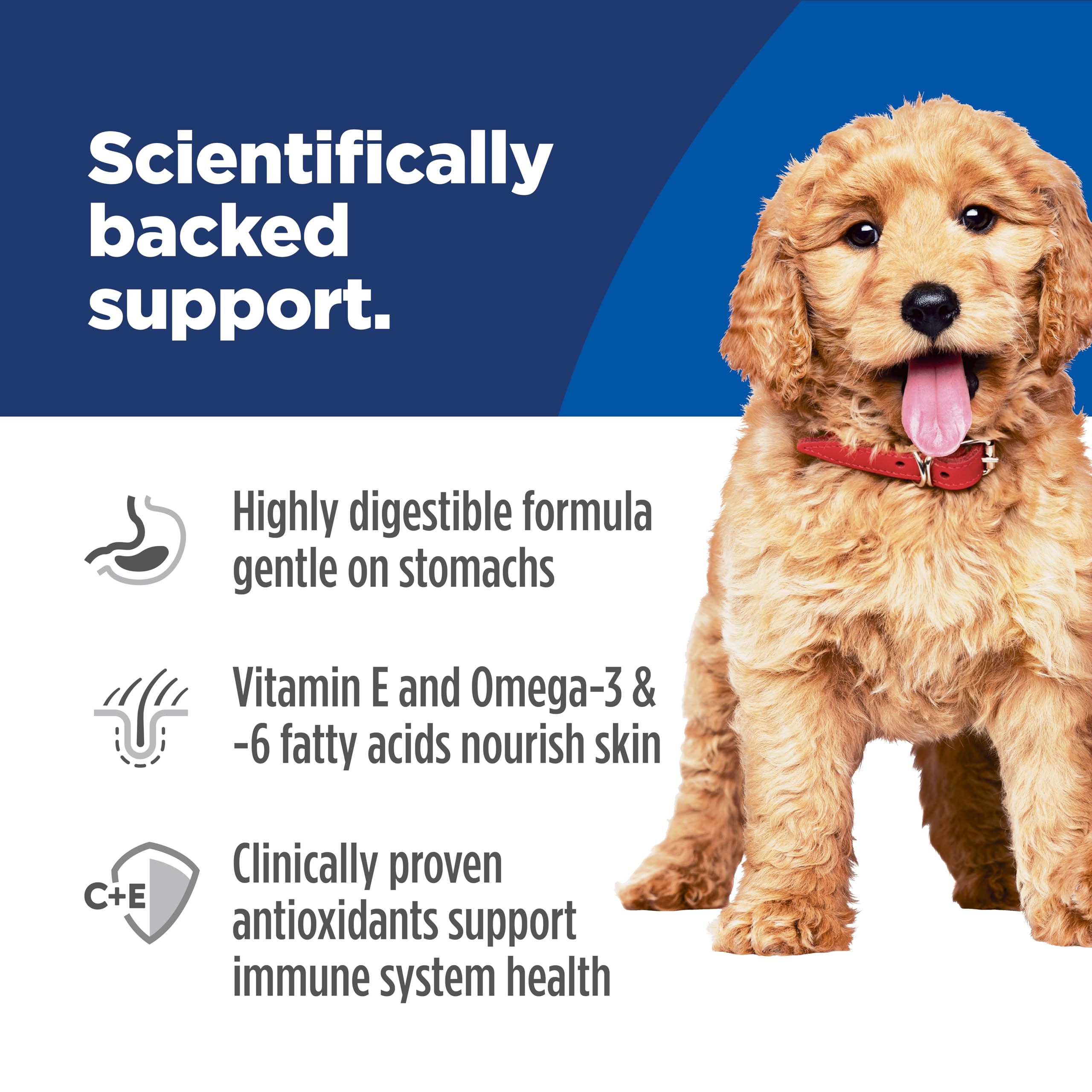 Hill's Science Diet Chiot – antioxydants vitamine C et E pour le soutien immunitaire