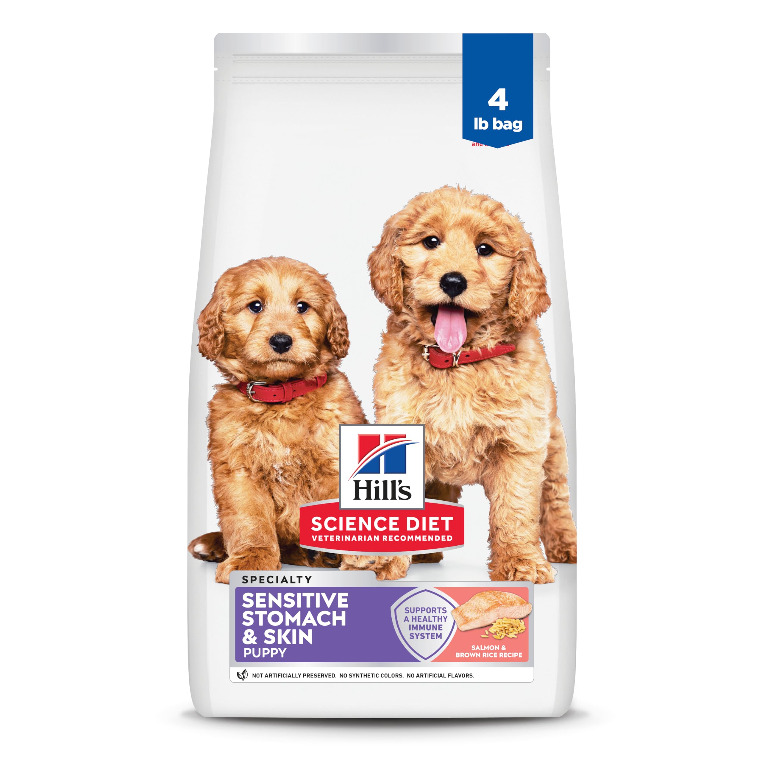 Hill's Science Diet Chiot Estomac Sensible – croquettes saumon et riz brun facilitant la digestion