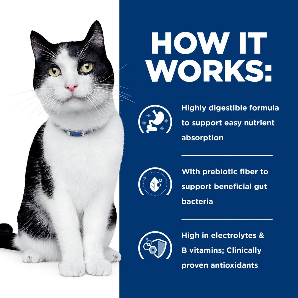 Hill's i/d, routine repas facilitée entre humain et chat