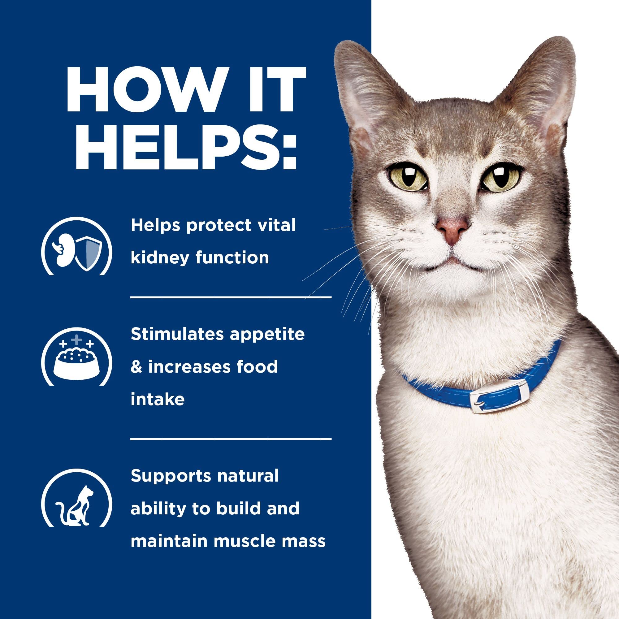 Hill's Prescription Diet k/d chat approche facile pour manger le thon
