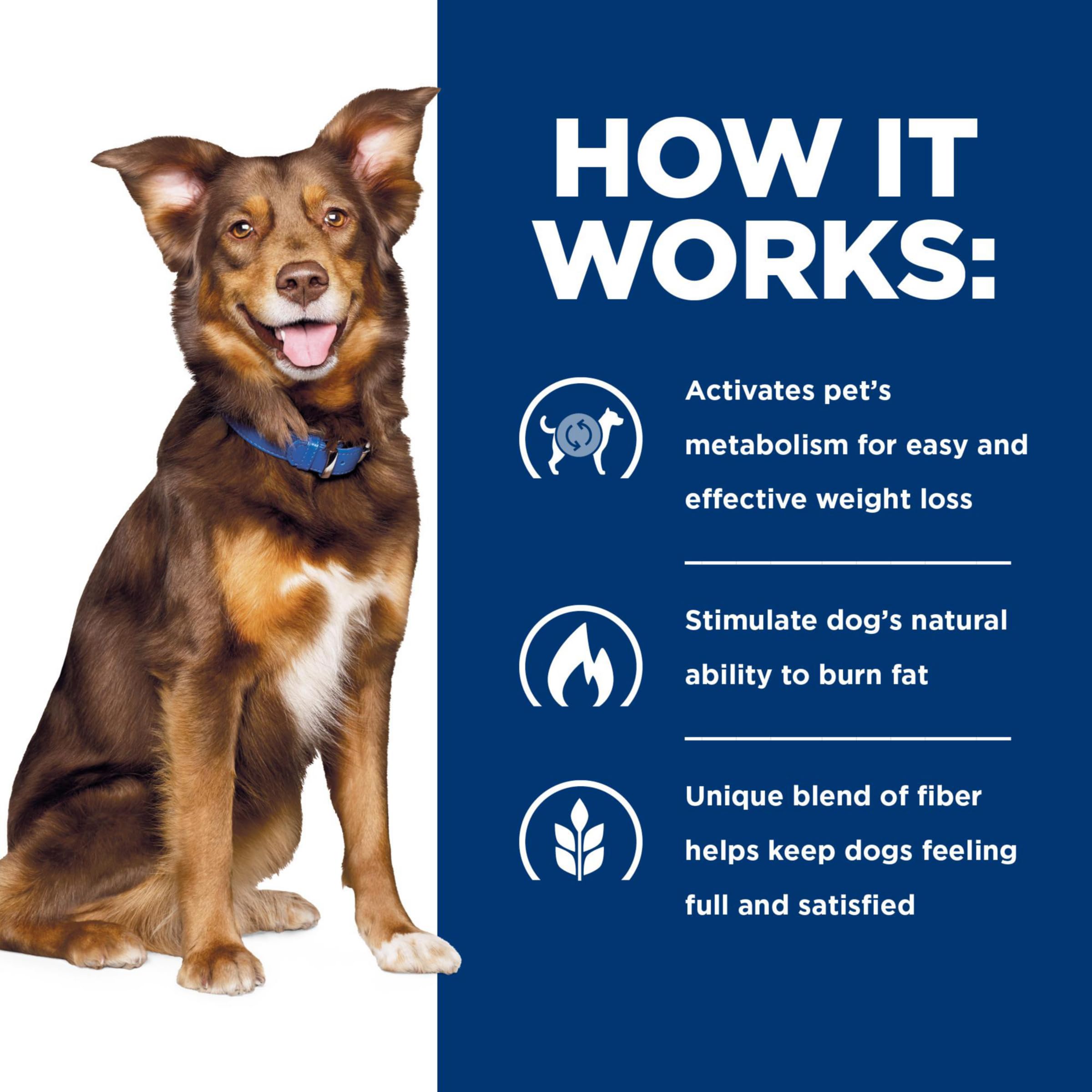 Hill's Prescription Diet Metabolic – arôme-poulet, gourmandise saine pour votre chien