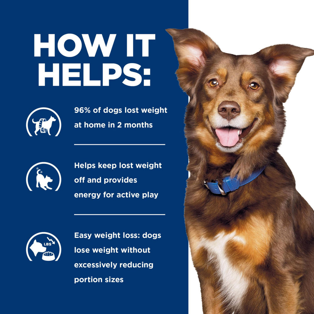 Hill's Metabolic bien-etre-chien favorise une routine saine.