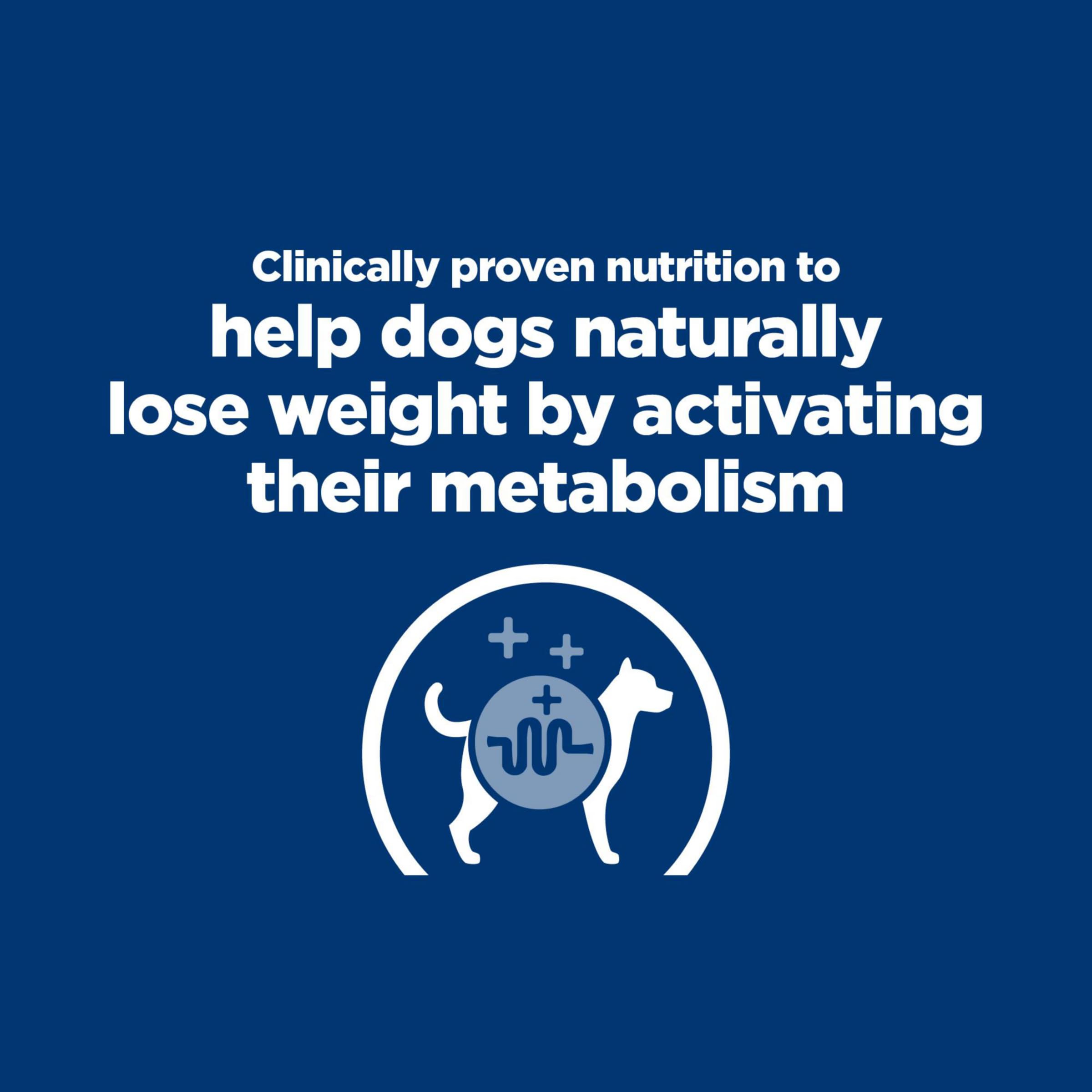 Hill's Prescription Diet Metabolic – chien actif et énergique grâce au régime