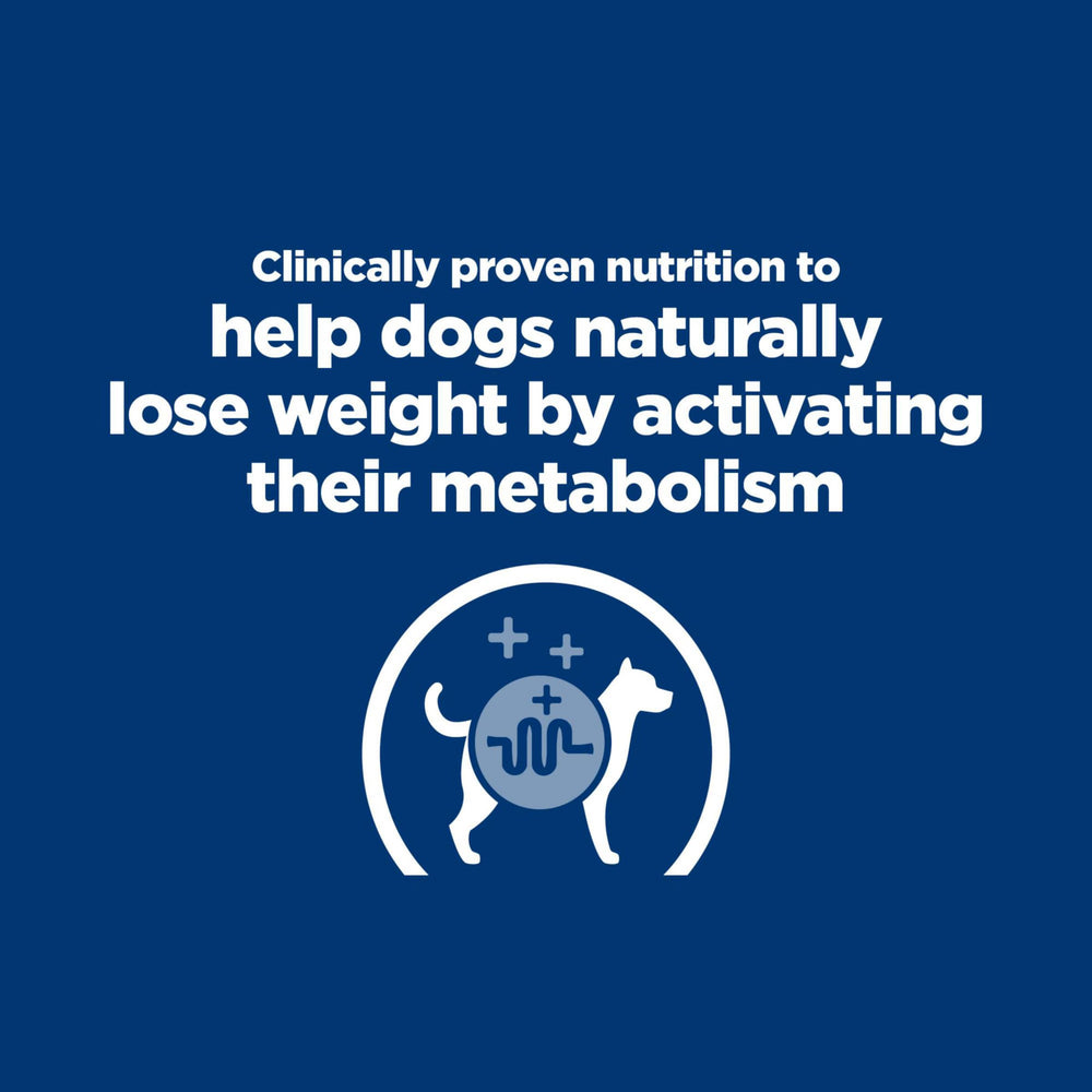 Hill's Prescription Diet Metabolic – chien actif et énergique grâce au régime