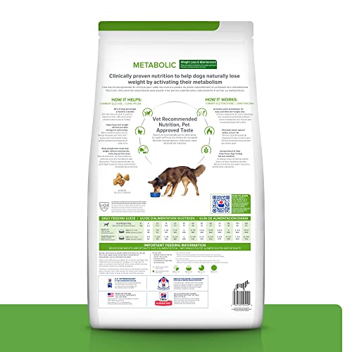Hill's Metabolic croquettes poulet, texture appétente pour chien actif.