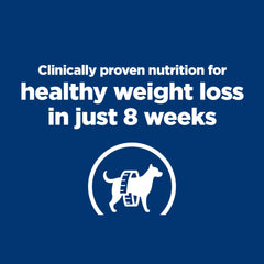 Bol Hill's Prescription Diet r/d prêt à nourrir le chien.