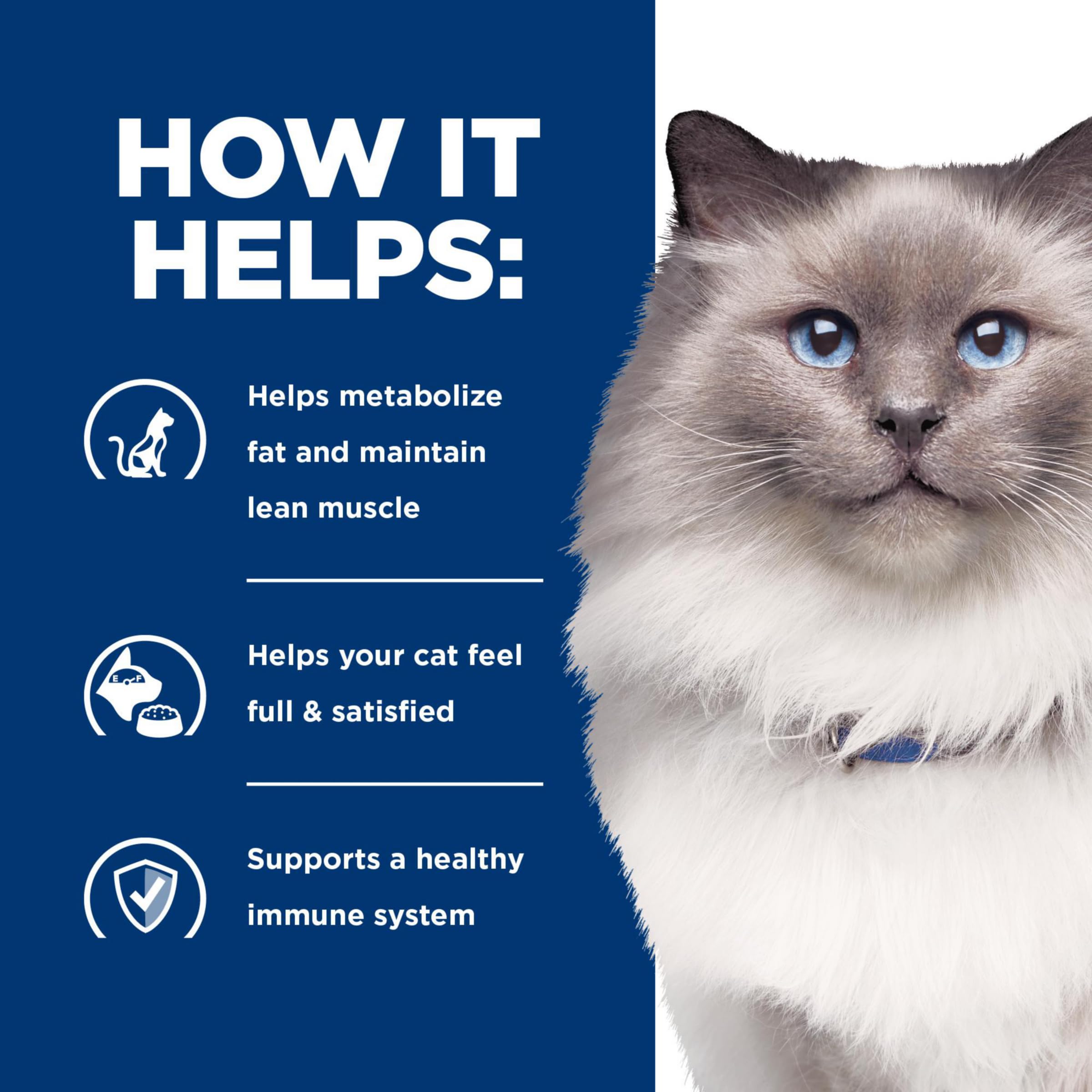 Hill's Prescription Diet r/d chat seche nourriture thérapeutique: alimentation adaptée pour la gestion du poids.