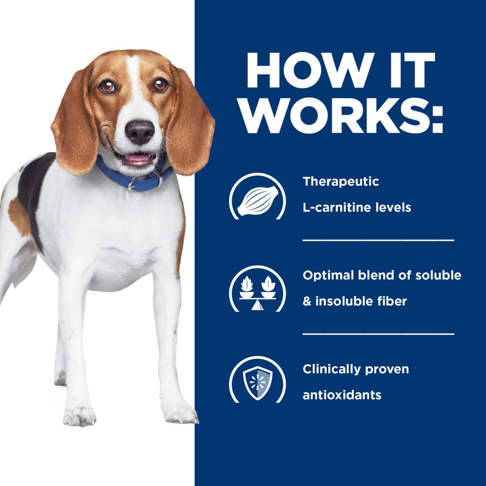 Repas sain et délicieux Hill's r/d pour chien actif.