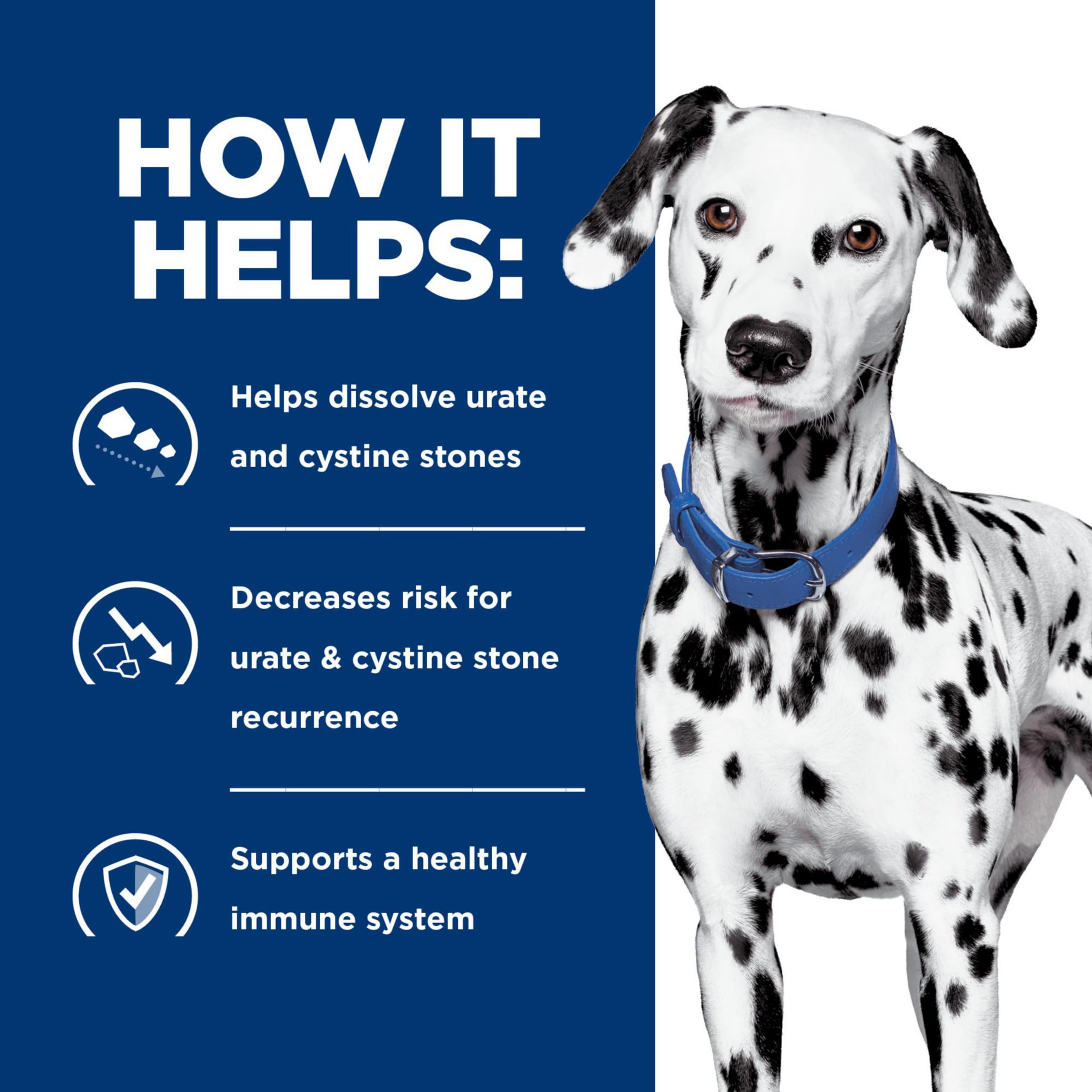 Hill's Prescription Diet u/d – taurine et L-carnitine inclus.