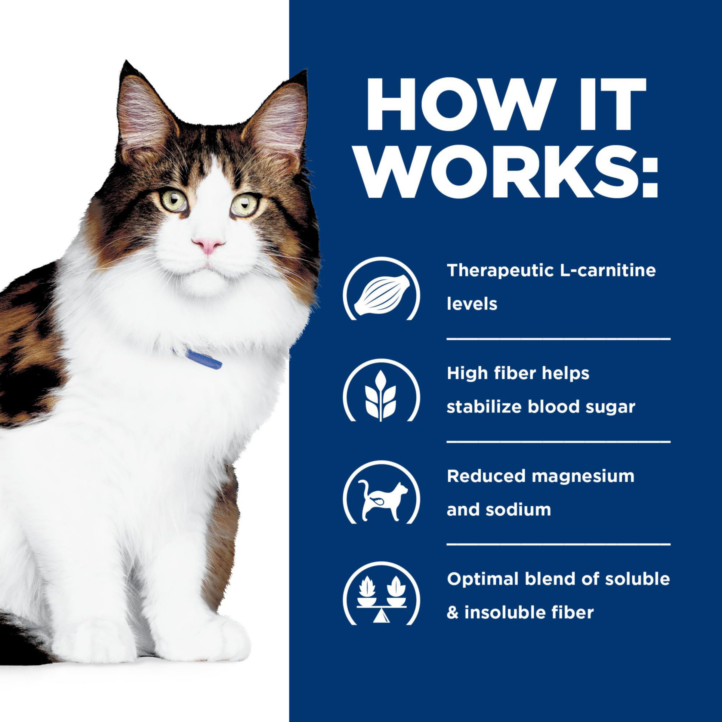 Hill's Prescription Diet w/d chat facilité d'utilisation et goût apprécié.