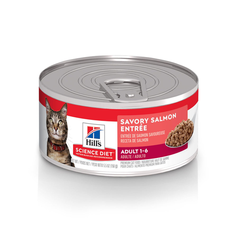 Hill's Science Diet chat adulte au saumon, conserve 5,5 oz, repas savoureux et équilibré.
