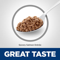 Texture crémeuse du saumon Hill's Science Diet, repas facile à mâcher pour chat.