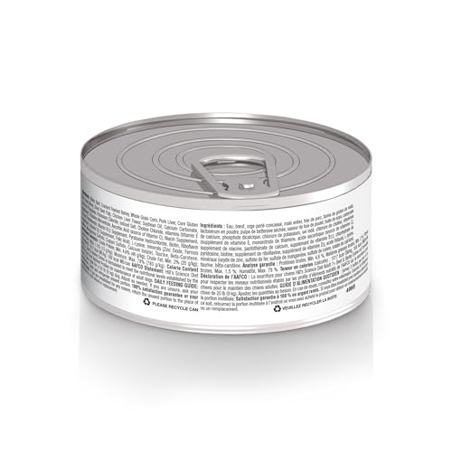 Hill's Science Diet Adult 7+ — étiquette claire indiquant nutrition adaptée au chien senior.