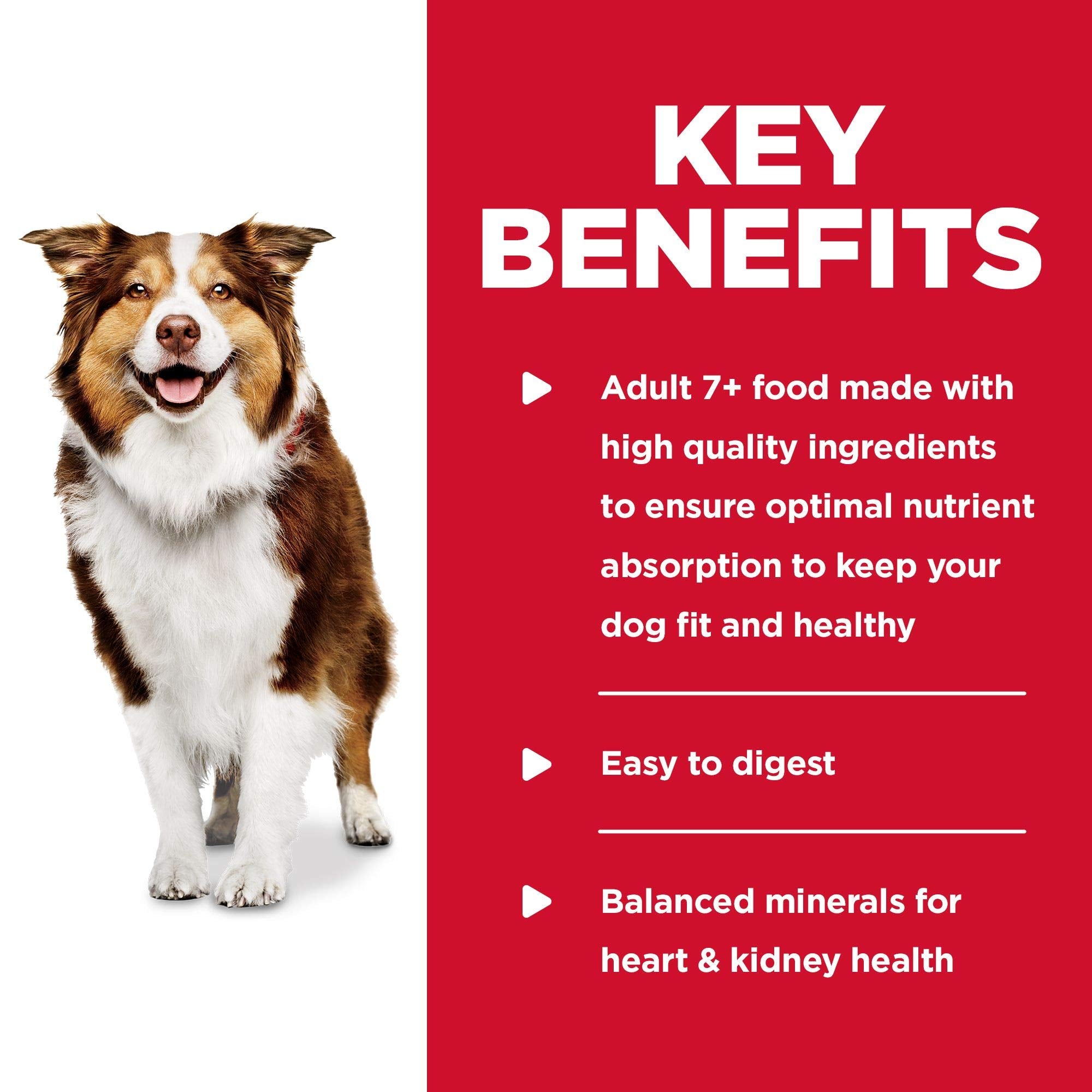 Hill's Science Diet Adult 7+ — oméga-6 et vitamine E pour peau et pelage sains.