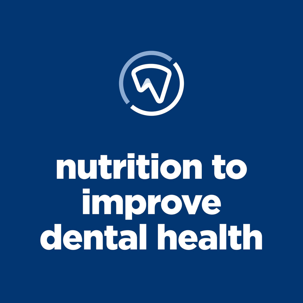 Hill's Science Diet Adult Oral Care fibres interlock nettoyant les dents pendant le repas.