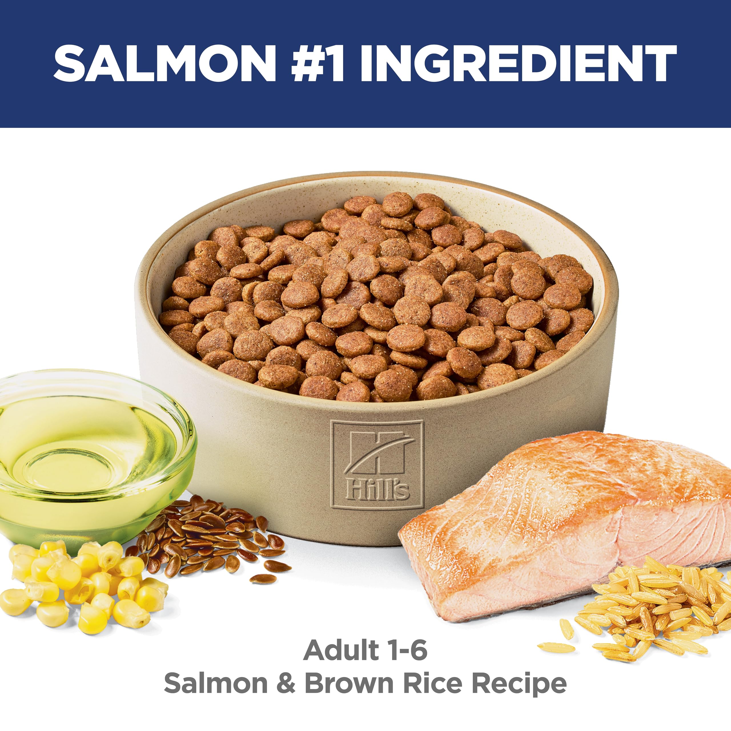 Hill's Science Diet Adult 1-6: bol chien prêt, alimentation quotidienne pratique.