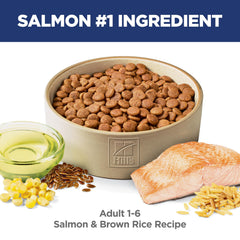 Hill's Science Diet Adult 1-6: bol chien prêt, alimentation quotidienne pratique.