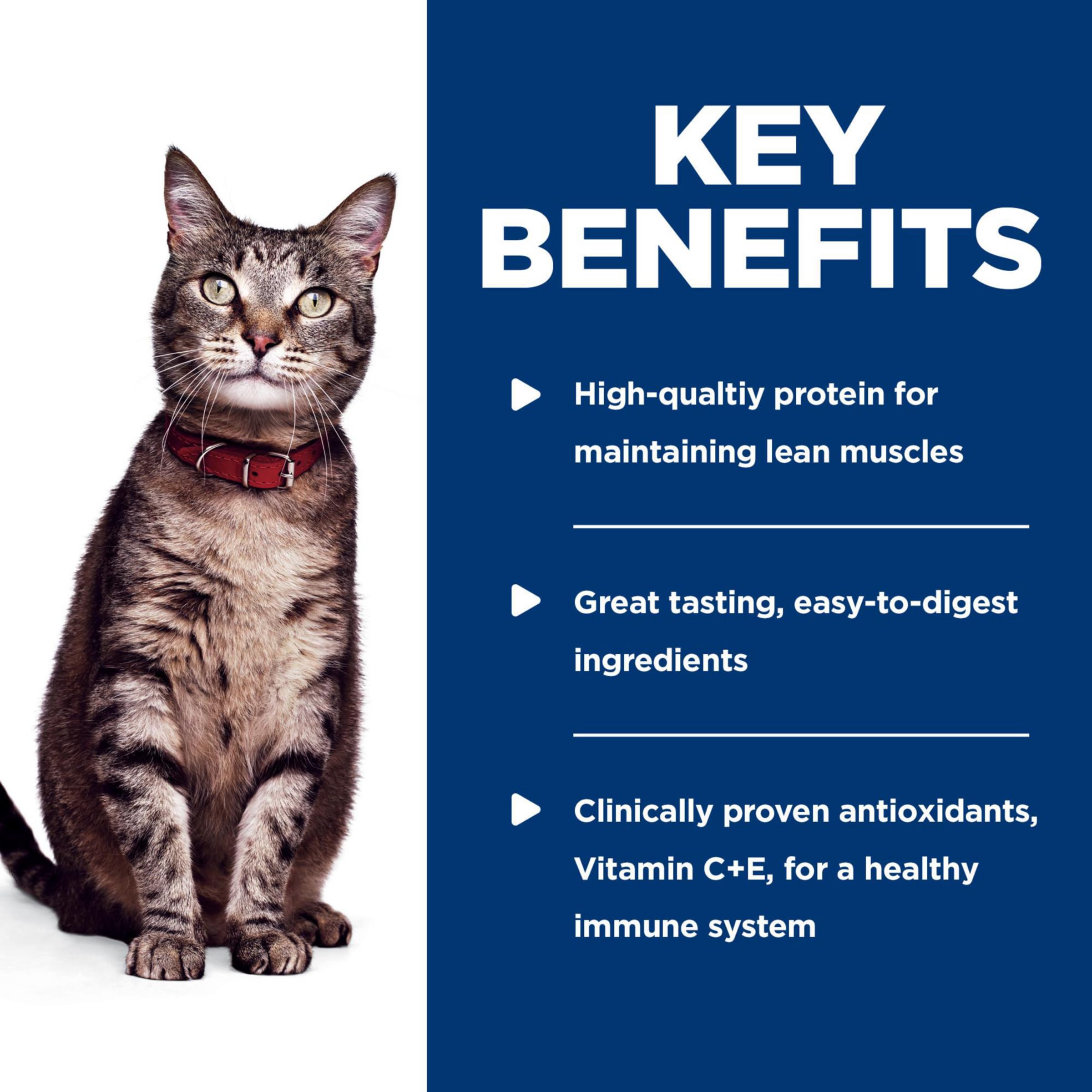 Hill's Science Diet Adulte 1-6 – chat mangeant le plat humide
