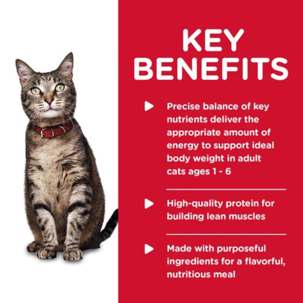 Hill's Science Diet Adulte Chat pack 24 boîtes, solution pratique.