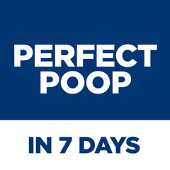 Hill's Science Diet Adulte chien mangeant dans sa gamelle, repas appétissant