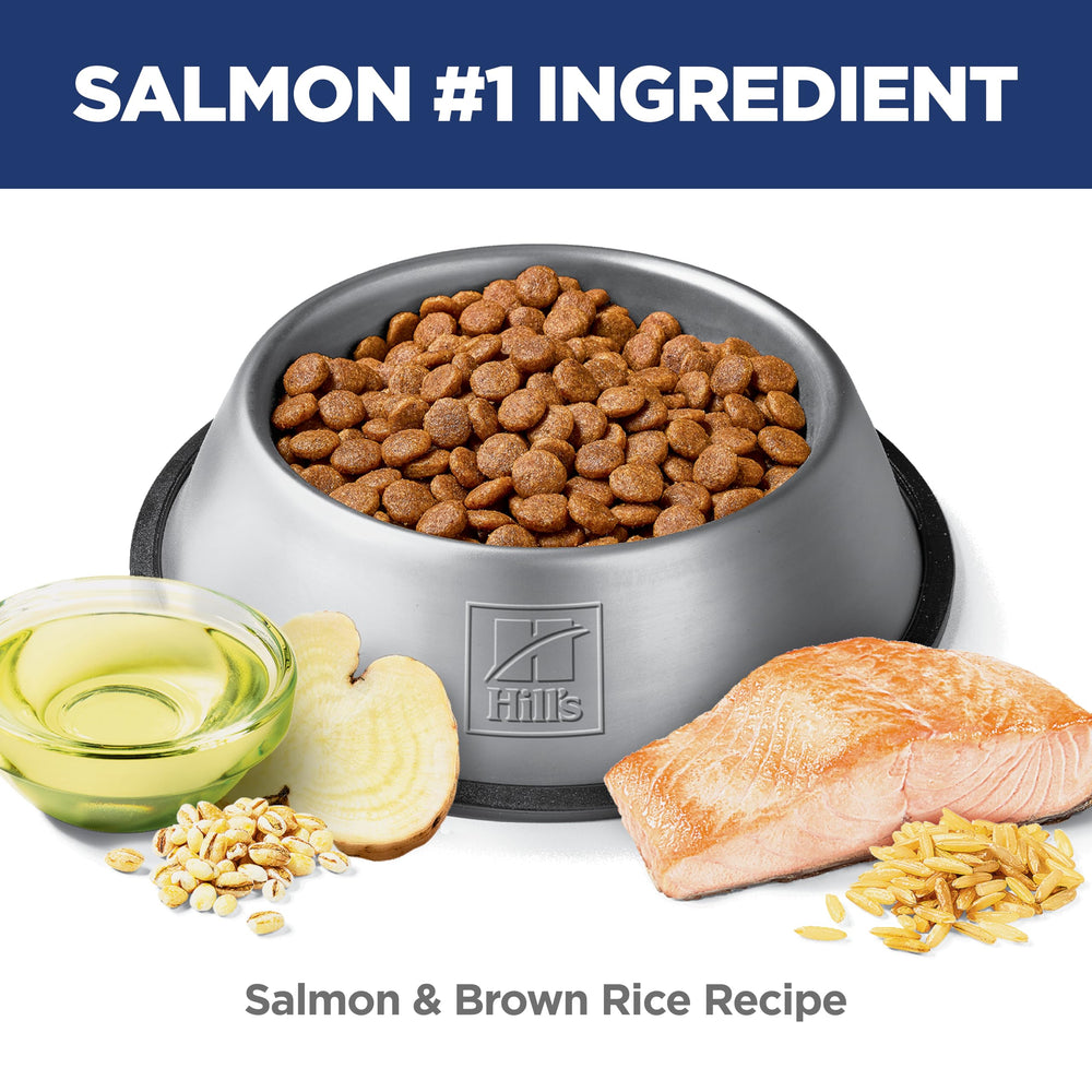 Hill's Science Diet prébiotiques – fibre prébiotique soutenant l'équilibre intestinal.