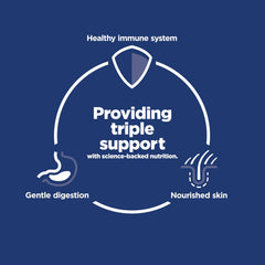 Hill's Science Diet croquettes – texture croquante et absorption potentielle des nutriments.