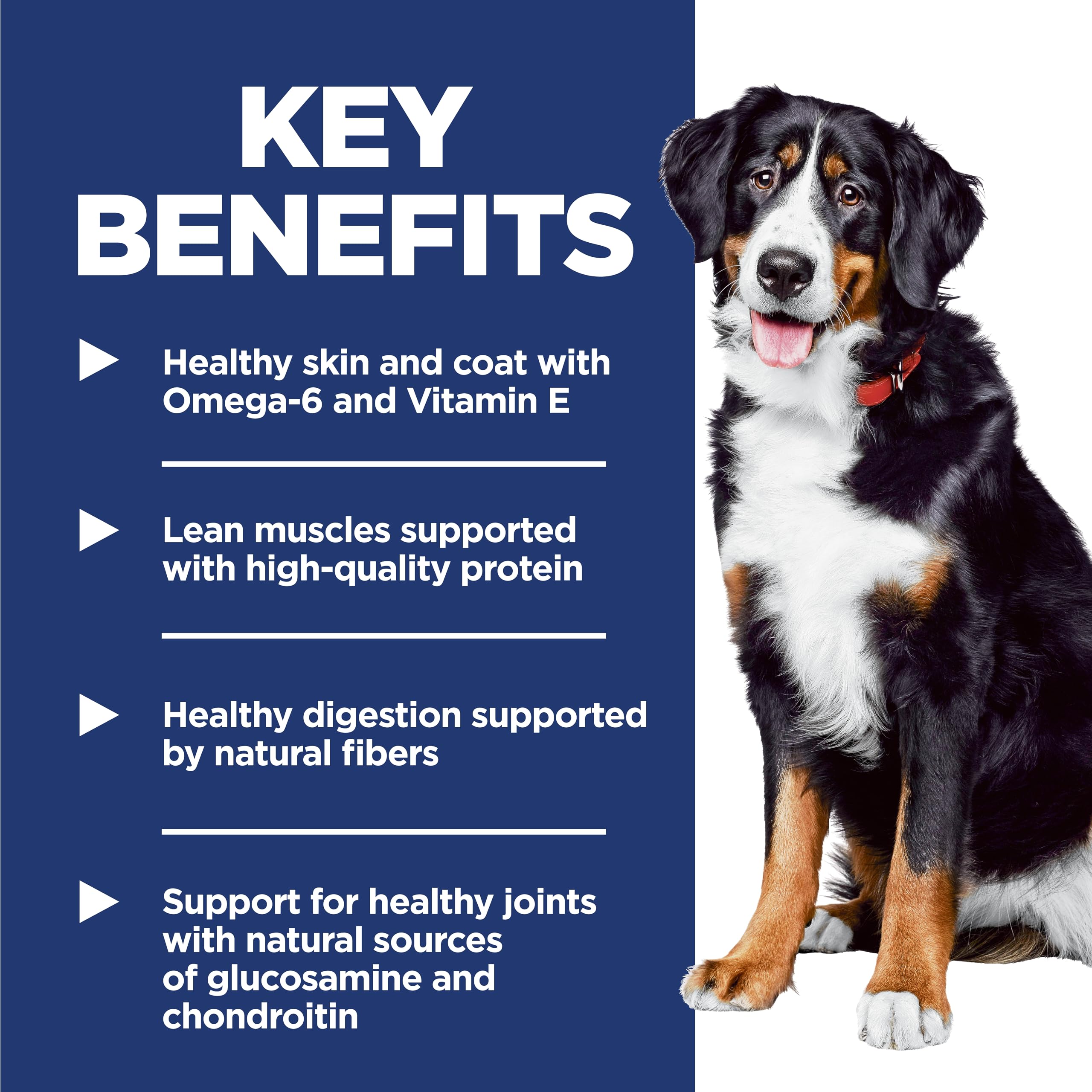 Hill's Science Diet grande race – articulations saines grâce à glucosamine et chondroïtine