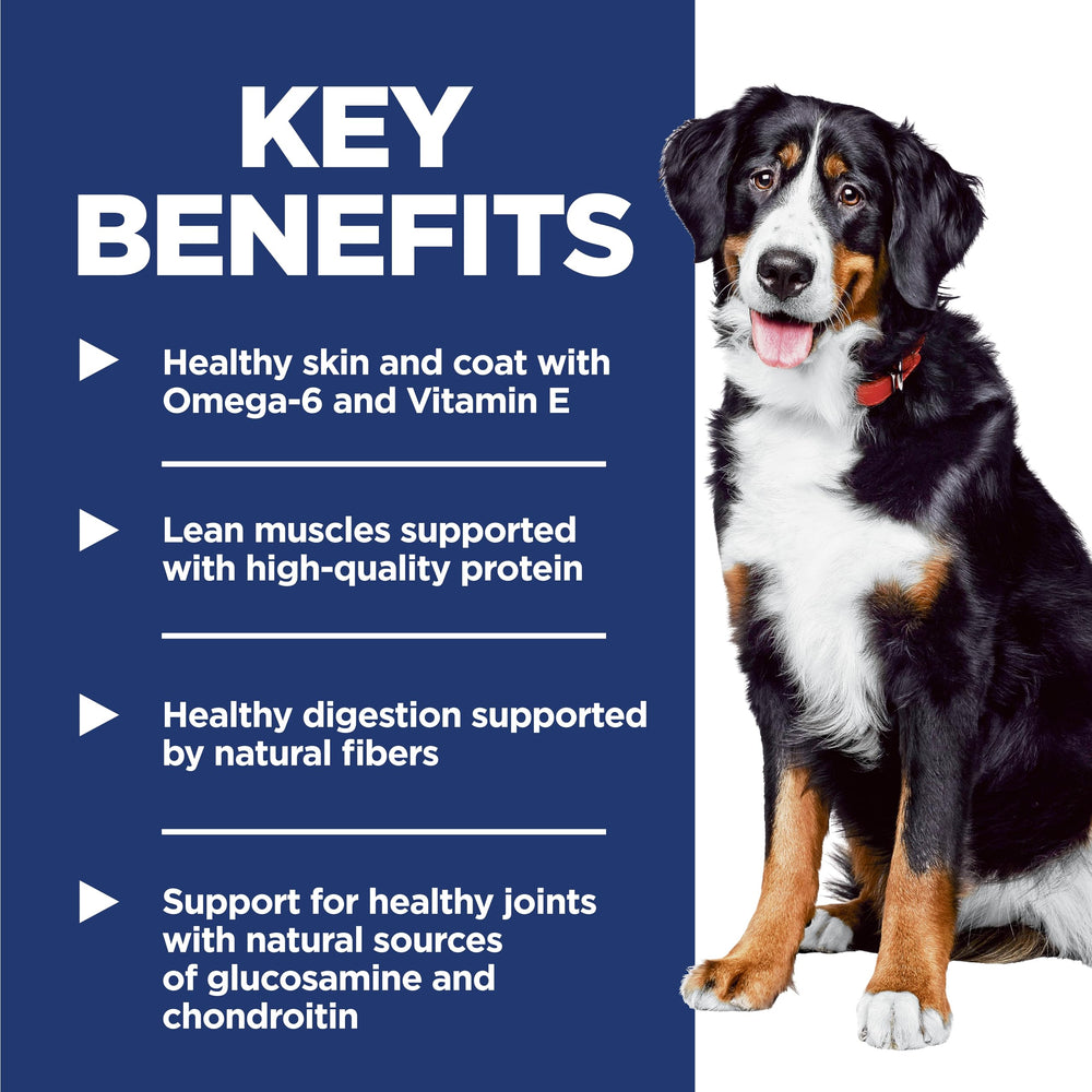 Hill's Science Diet grande race – articulations saines grâce à glucosamine et chondroïtine