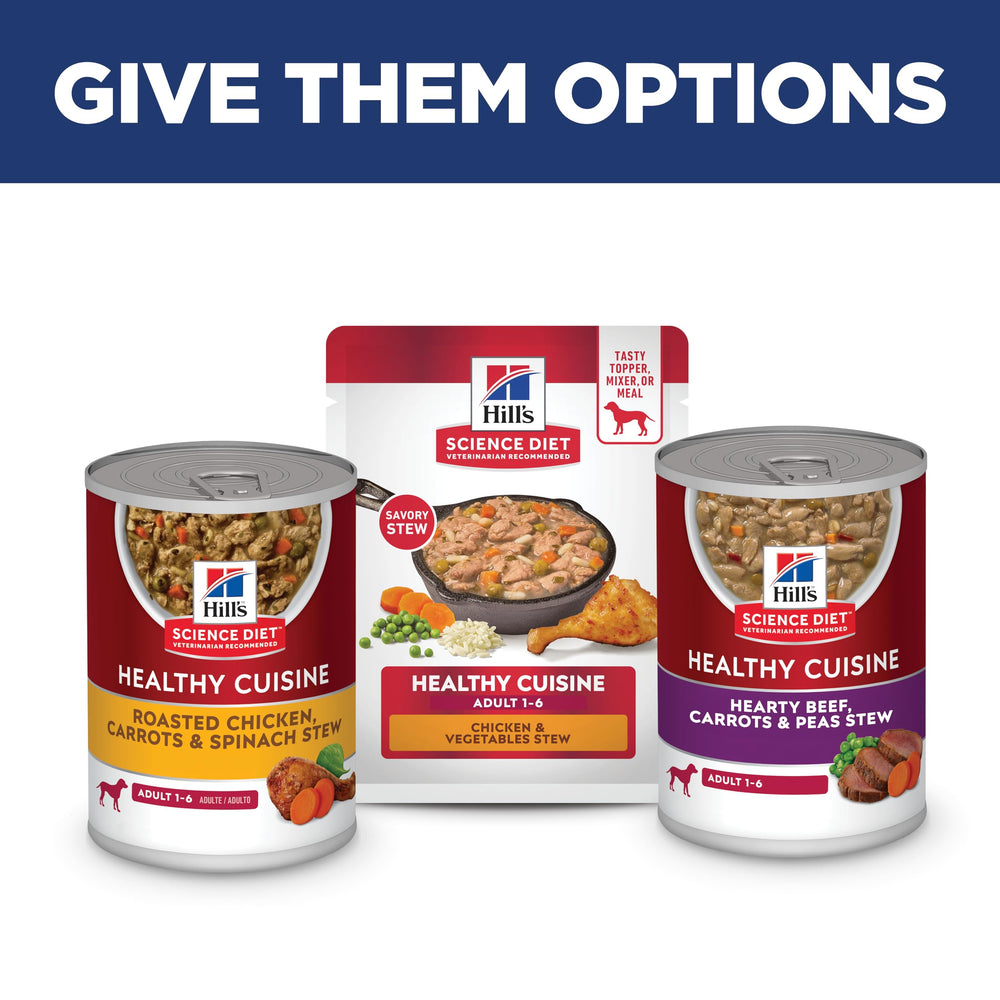 Hill's Science Diet Adult Healthy Cuisine Repas Quotidien : repas quotidien appétissant pour chien actif.