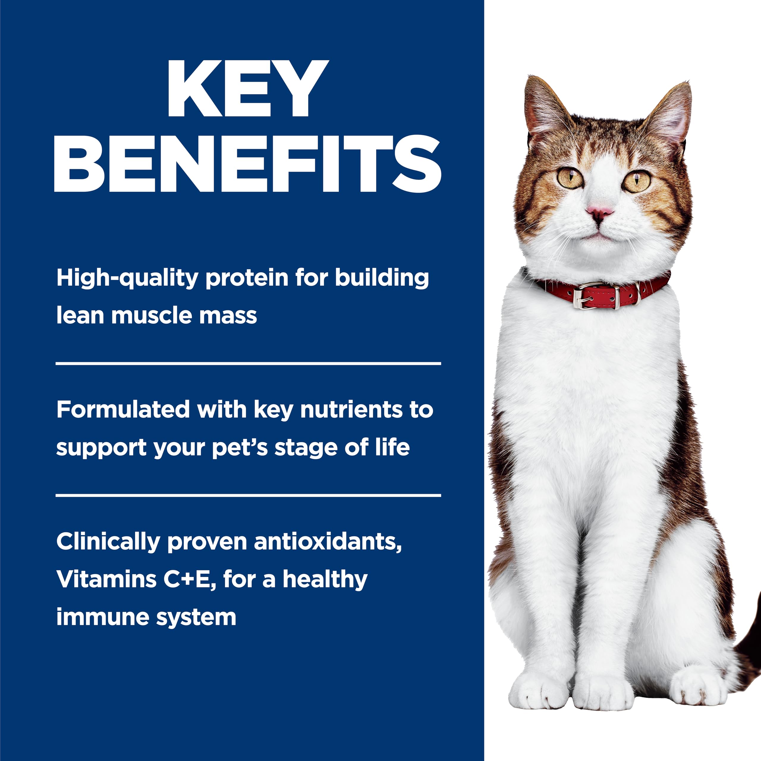 Acides aminés essentiels et minéraux pour soutenir la vitalité du chat.