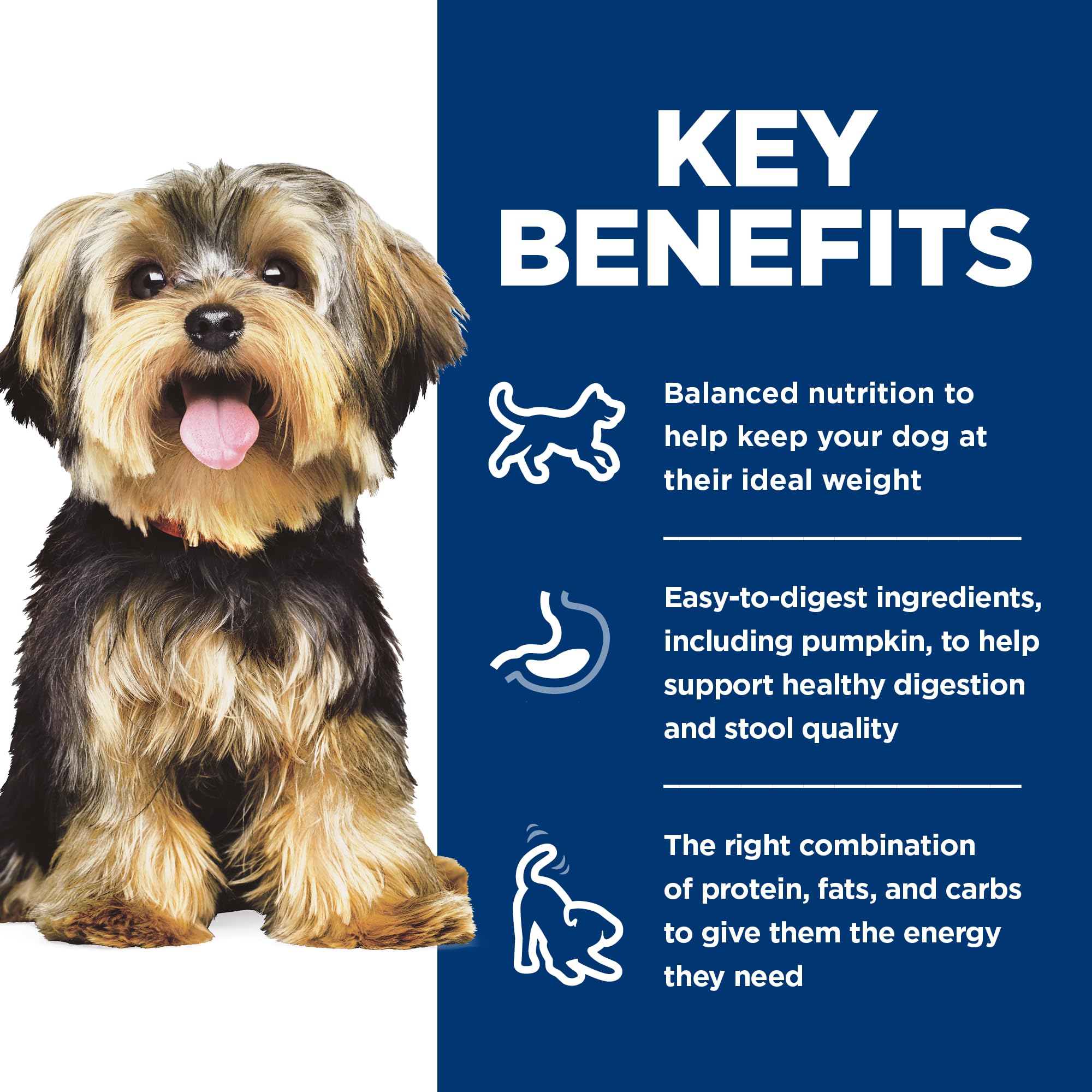 Antioxydants Hill's – image alimentation petit chien