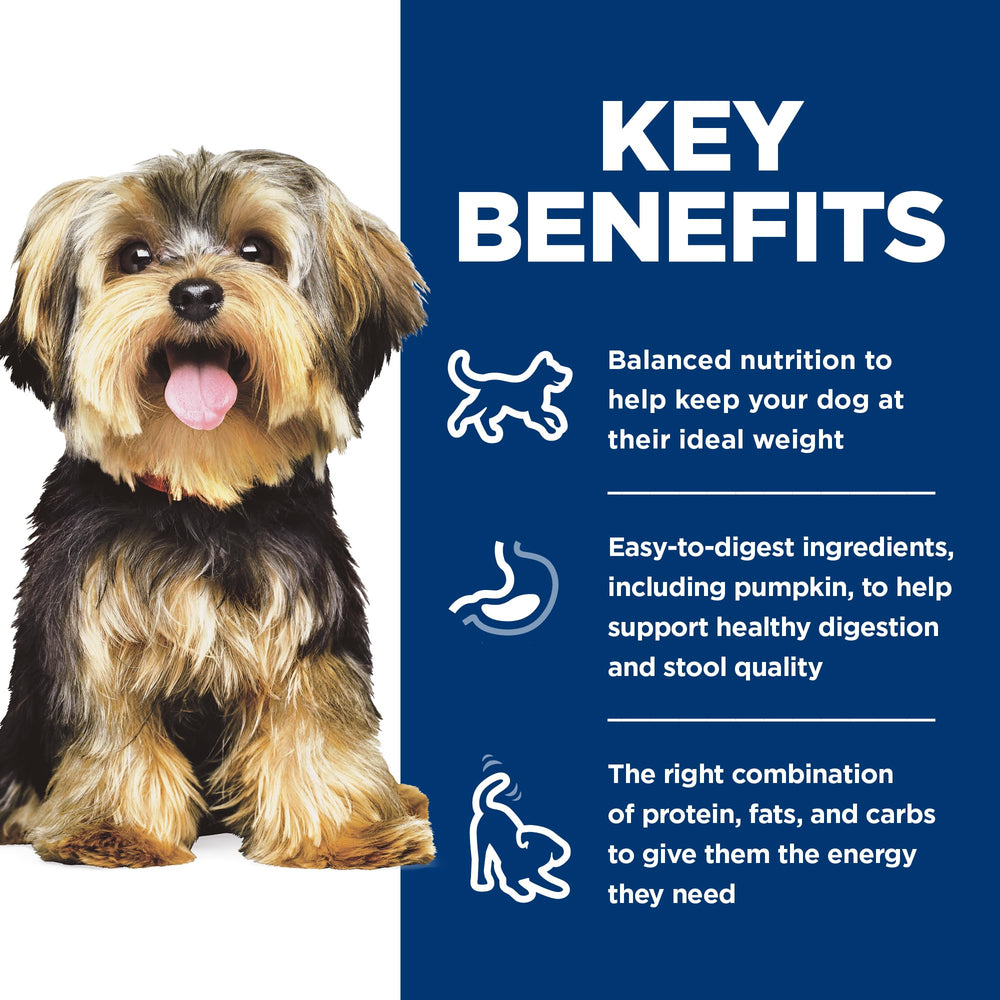 Antioxydants Hill's – image alimentation petit chien