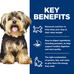 Antioxydants Hill's – image alimentation petit chien