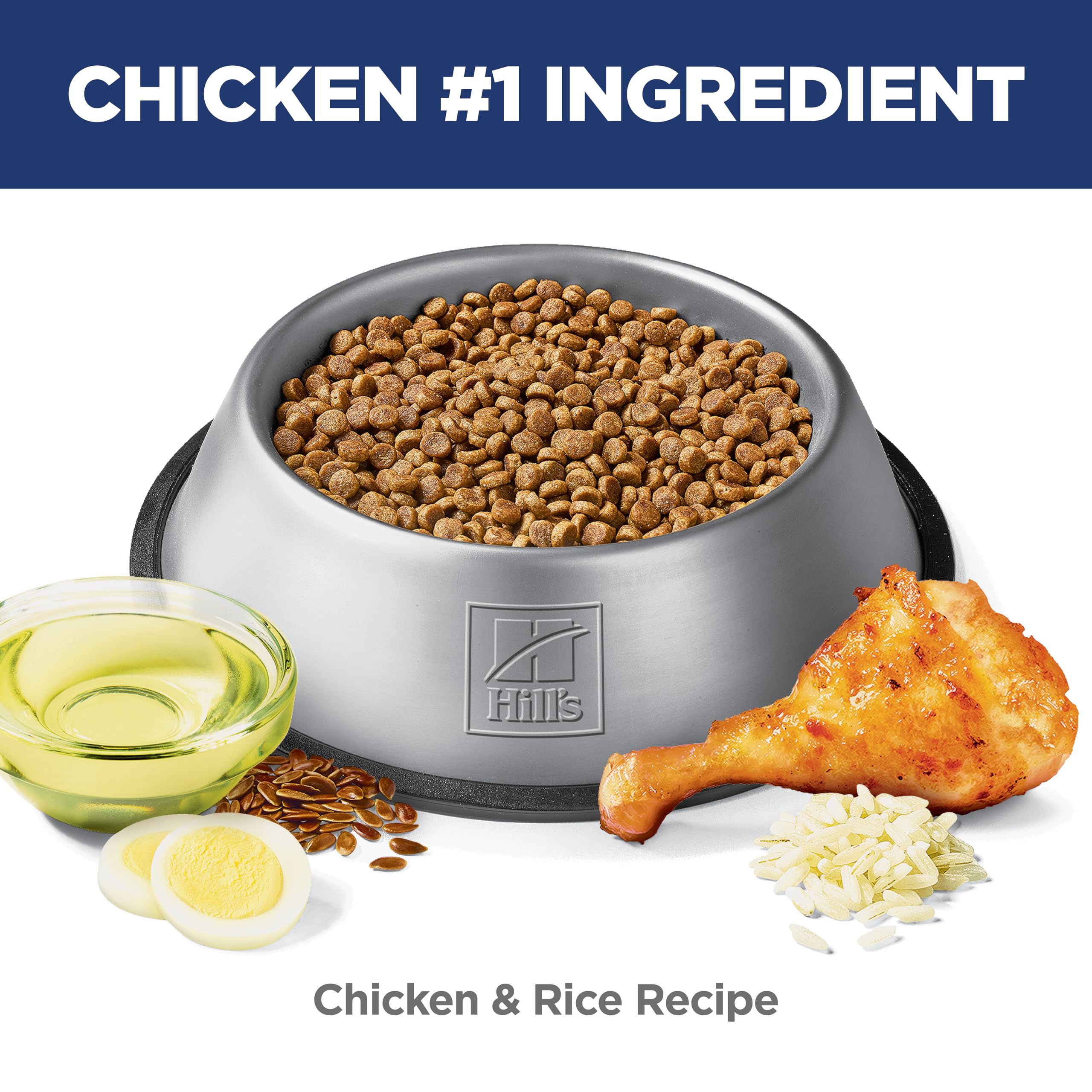 Bol Hill's Science Diet croquettes petites pour chien senior prêt à servir.