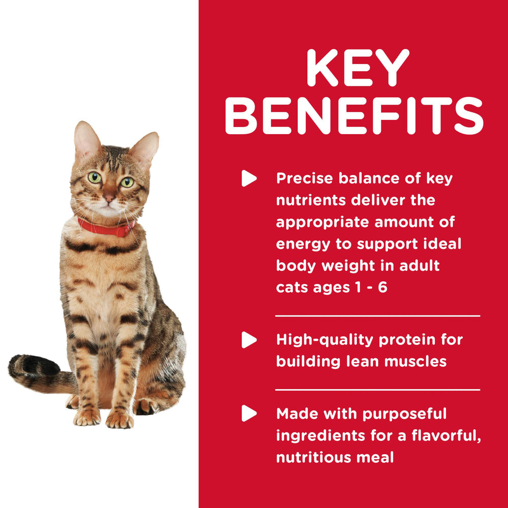Hill's Science Diet Chat Adulte 1-6 – antioxydants cliniquement prouvés pour le soutien immunitaire.