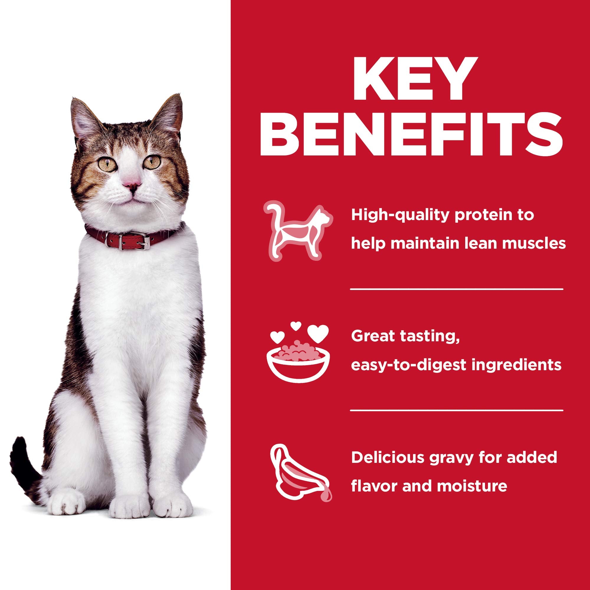Texture et goût adaptés aux chats seniors Hill's Science Diet.