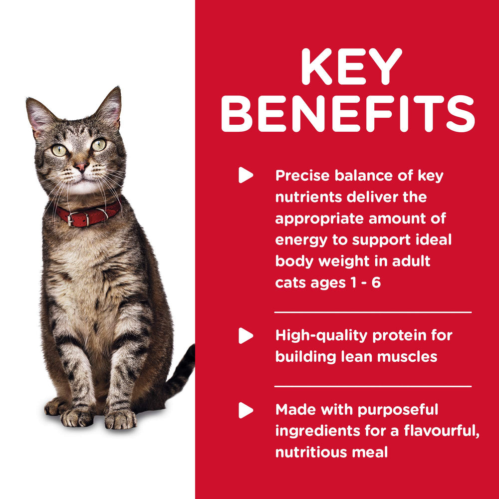 Hill's Science Diet Chat Adulte Stew Poulet – emballage 24 boîtes pratique pour l'alimentation.
