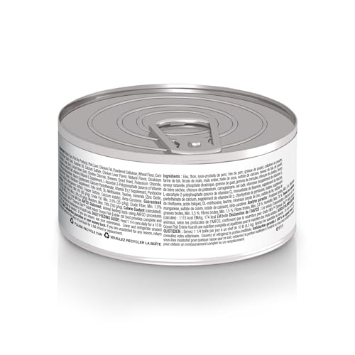 Hill's Science Diet Chat Adulte Indoor Ocean Fish texture crème, digeste et agréable à mâcher