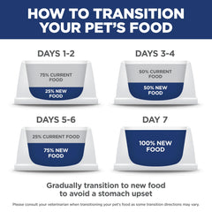 Pelage sain et peau nourrie par Hill's Science Diet